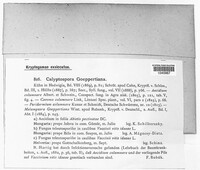 Calyptospora columnaris image